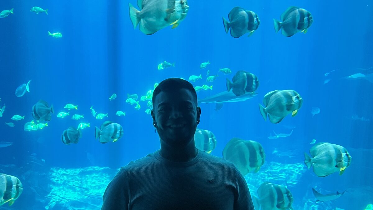 Ventana del Ocean Voyager en el Georgia Aquarium, Atlanta